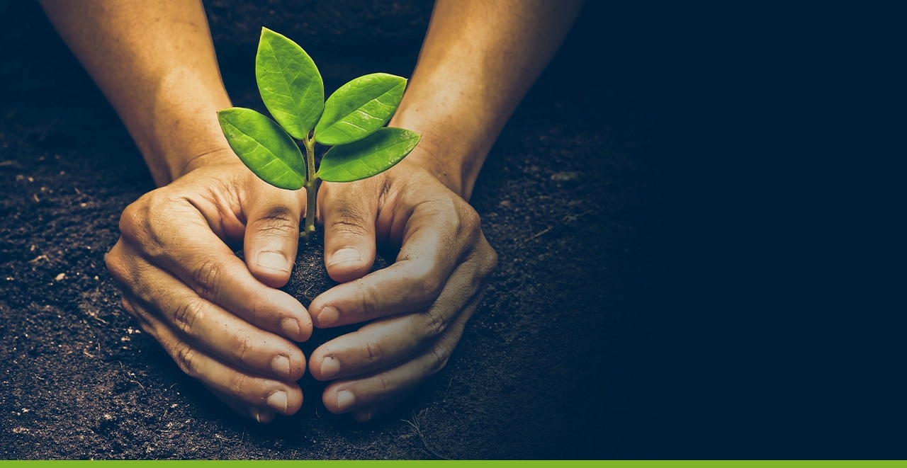 How Social Responsibility Shapes Our Communities
